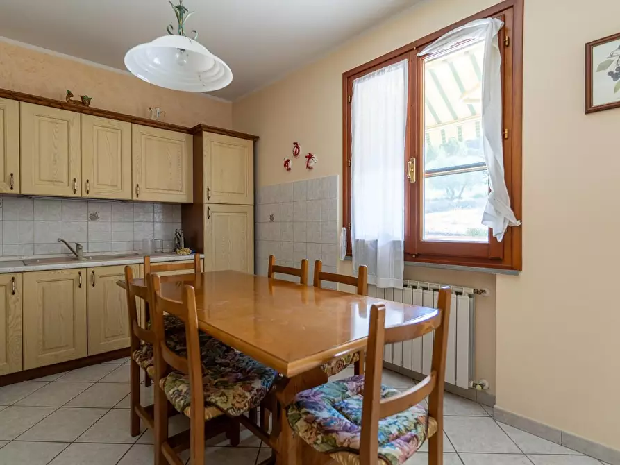 Immagine 37 di Azienda agricola in vendita  a Vinci