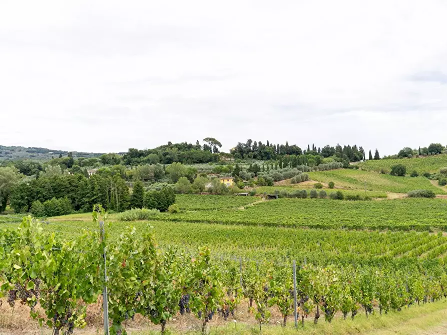 Immagine 51 di Azienda agricola in vendita  a Vinci