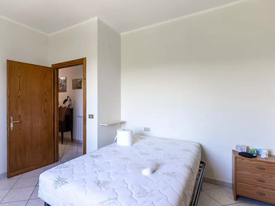 Immagine 49 di Azienda agricola in vendita  a Vinci