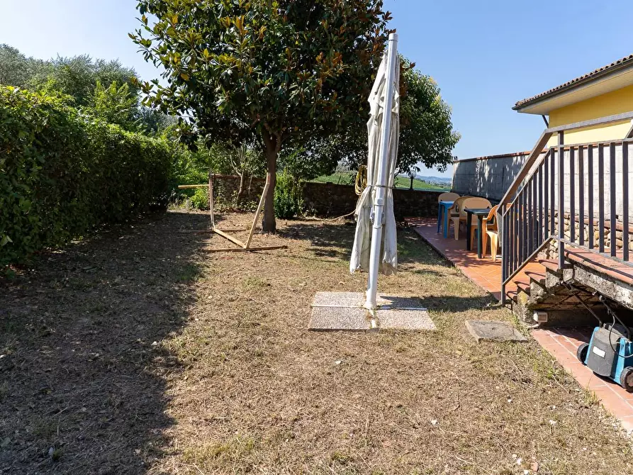 Immagine 19 di Azienda agricola in vendita  a Vinci