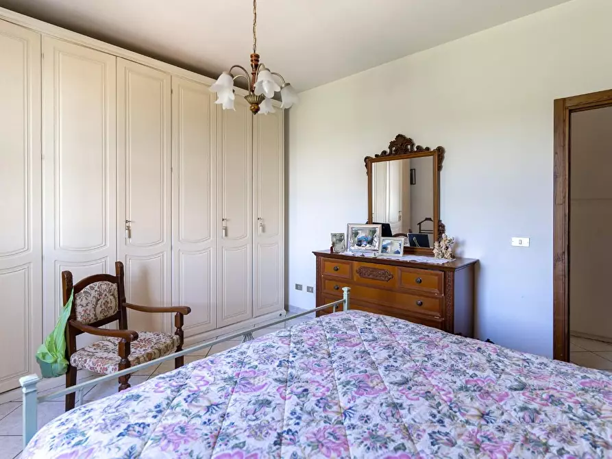 Immagine 45 di Azienda agricola in vendita  a Vinci