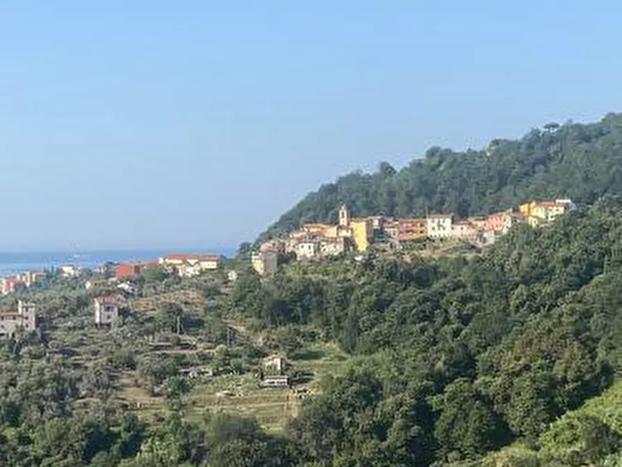 Immagine 17 di Porzione di casa in vendita  a Arcola