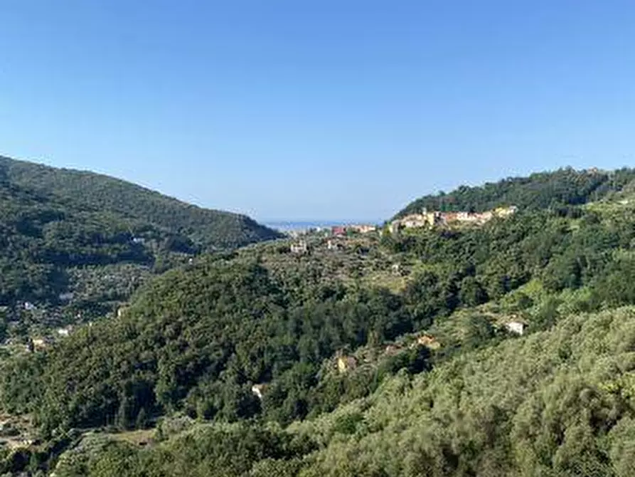 Immagine 16 di Porzione di casa in vendita  a Arcola