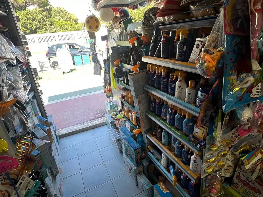 Immagine 4 di Attività commerciale in vendita  a Forte Dei Marmi