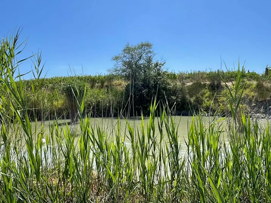 Immagine 85 di Agriturismo in vendita  a Montaione