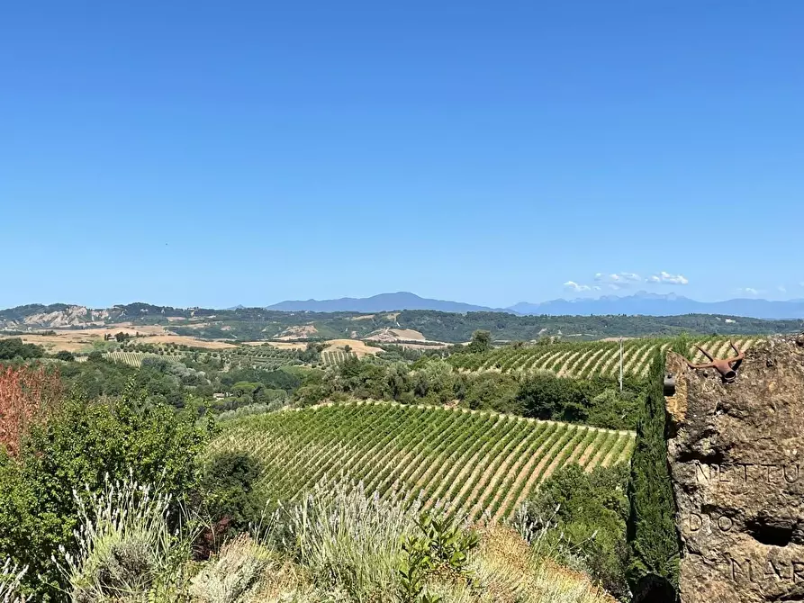 Immagine 54 di Agriturismo in vendita  a Montaione