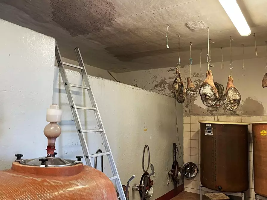 Immagine 21 di Agriturismo in vendita  a Montaione