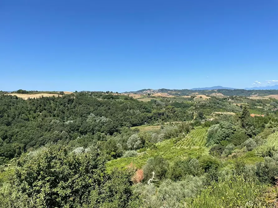 Immagine 83 di Agriturismo in vendita  a Montaione