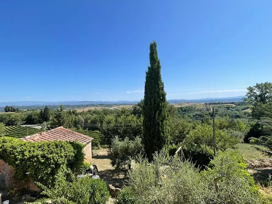 Immagine 43 di Agriturismo in vendita  a Montaione