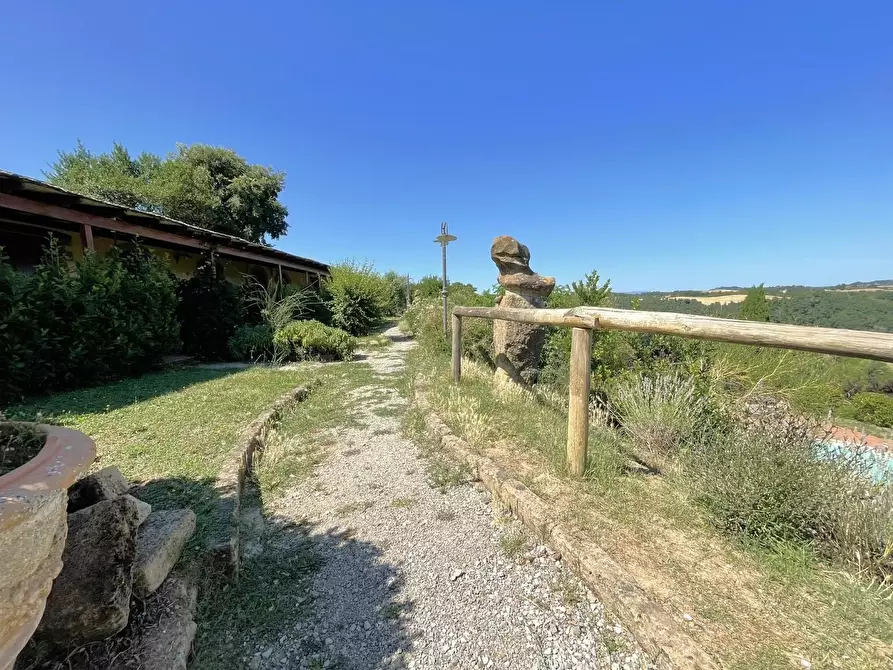 Immagine 23 di Agriturismo in vendita  a Montaione