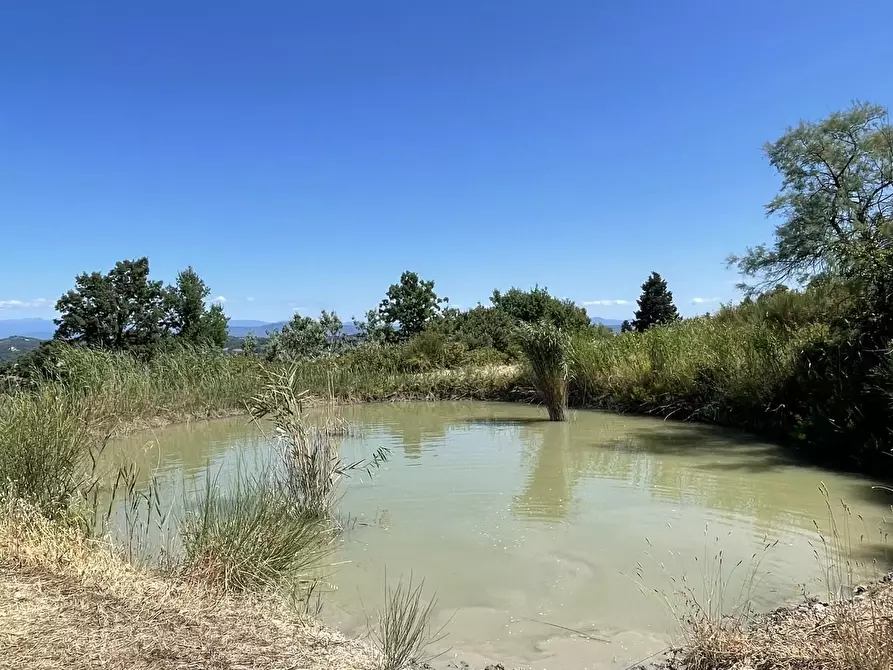 Immagine 86 di Agriturismo in vendita  a Montaione