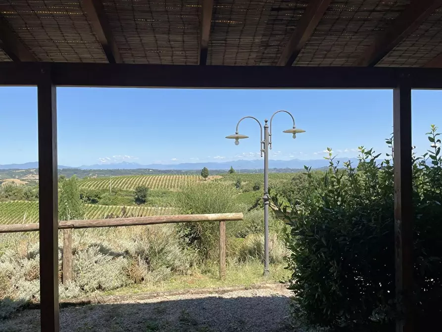 Immagine 29 di Agriturismo in vendita  a Montaione