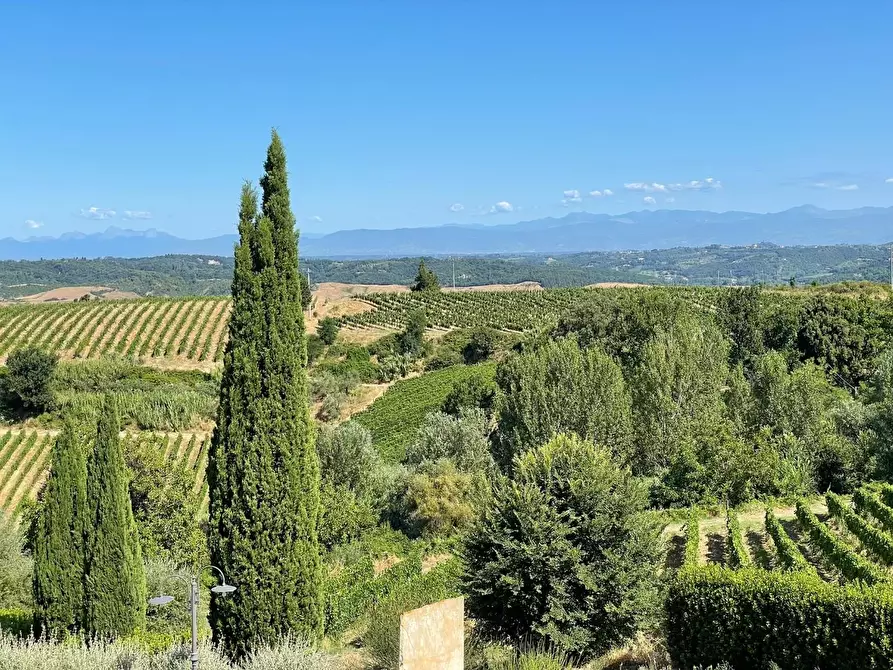 Immagine 18 di Agriturismo in vendita  a Montaione