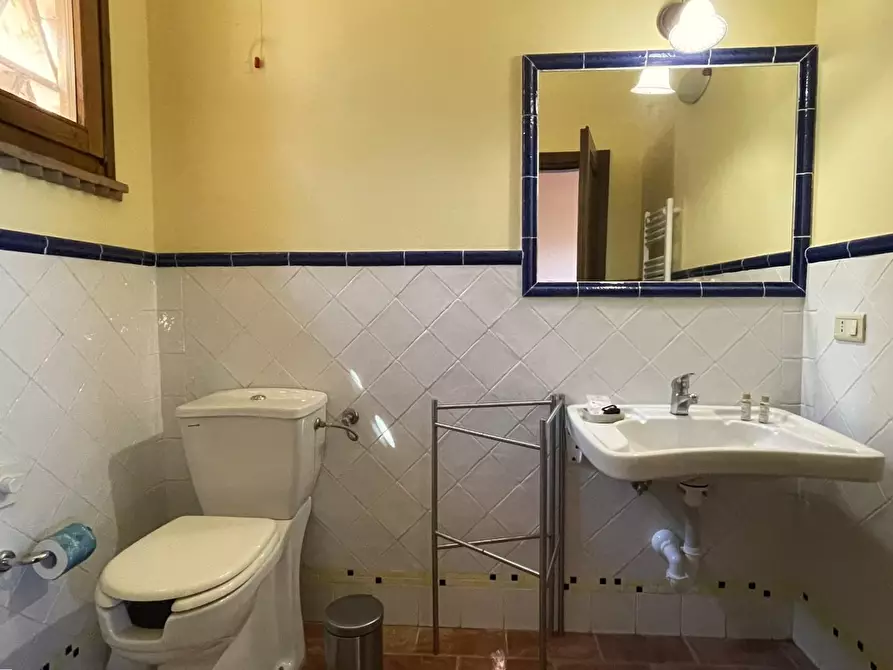 Immagine 32 di Agriturismo in vendita  a Montaione