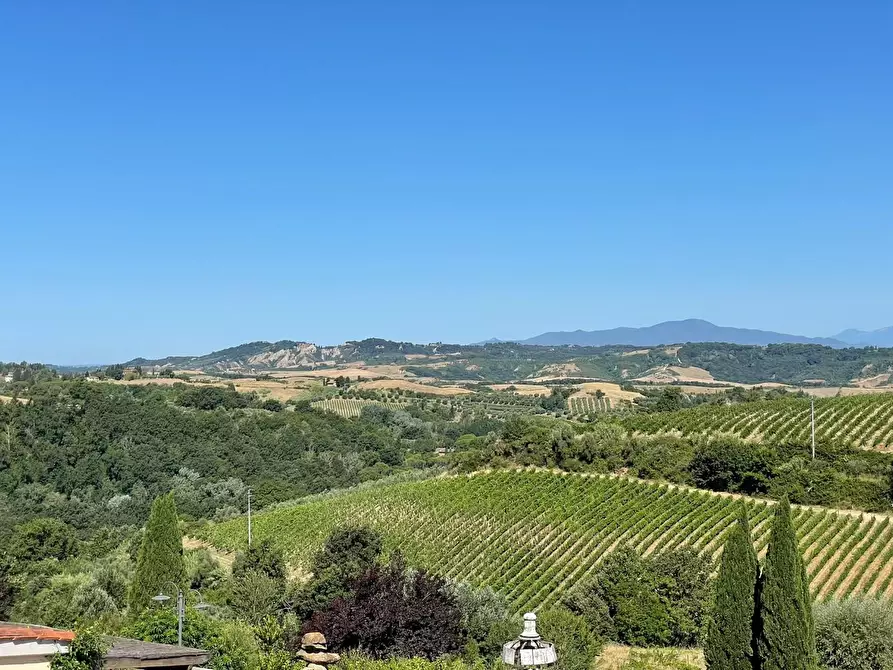 Immagine 47 di Agriturismo in vendita  a Montaione