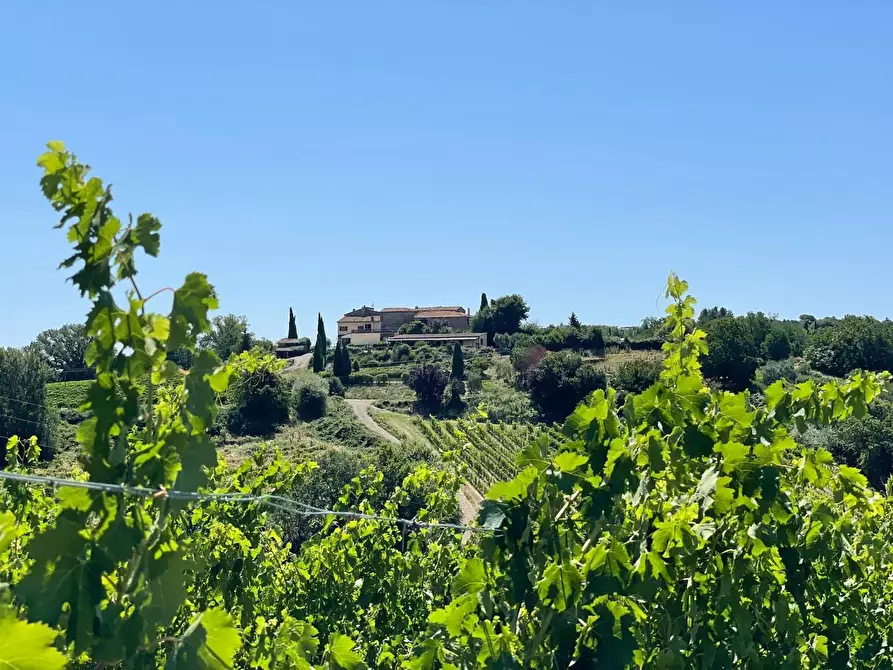 Immagine 82 di Agriturismo in vendita  a Montaione
