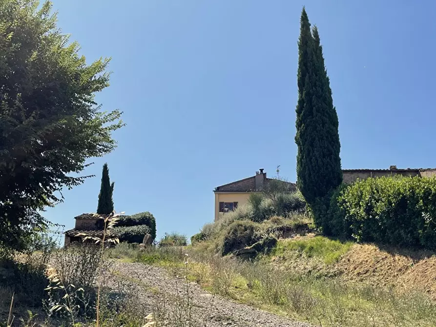 Immagine 67 di Agriturismo in vendita  a Montaione