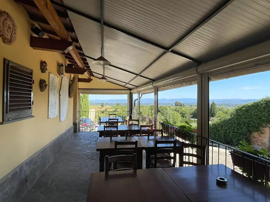 Immagine 34 di Agriturismo in vendita  a Montaione