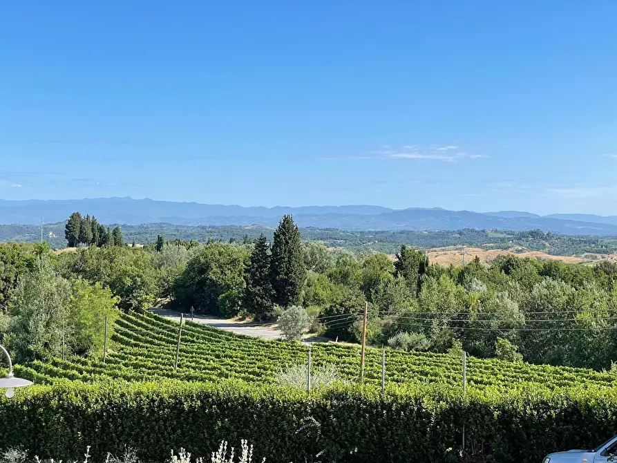 Immagine 35 di Agriturismo in vendita  a Montaione