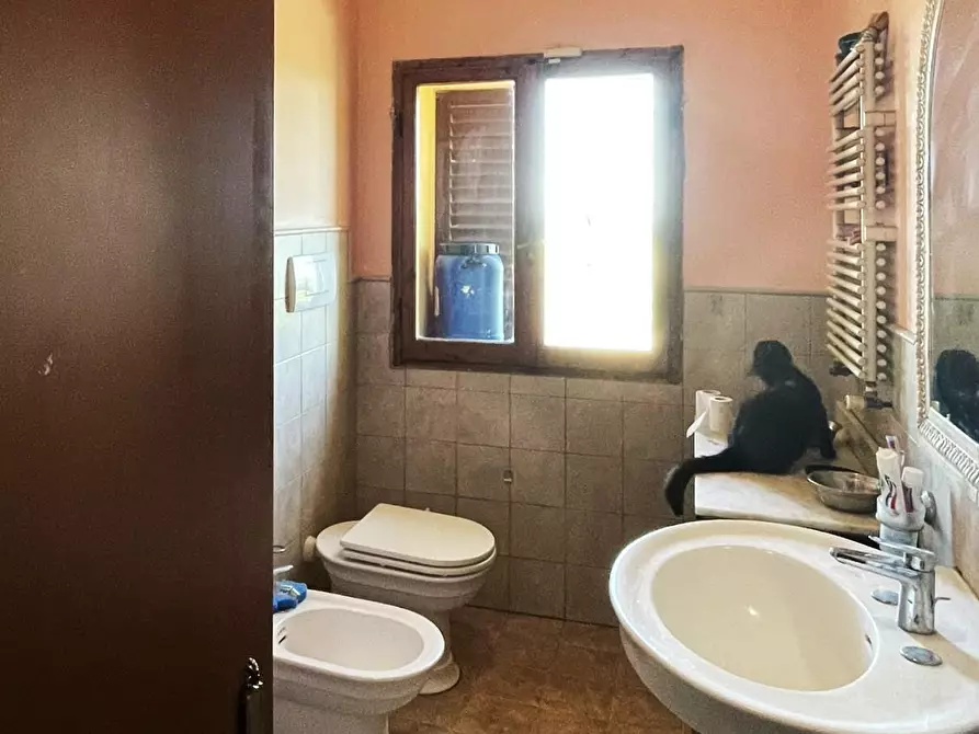 Immagine 45 di Agriturismo in vendita  a Montaione