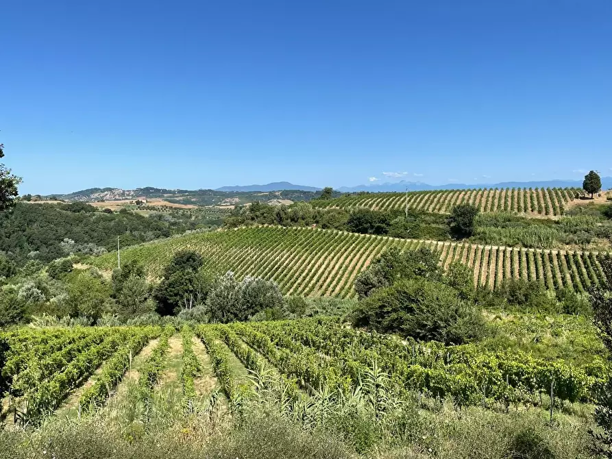 Immagine 2 di Agriturismo in vendita  a Montaione