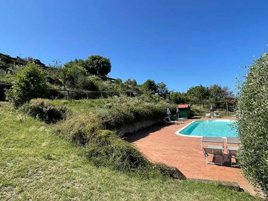 Immagine 24 di Agriturismo in vendita  a Montaione