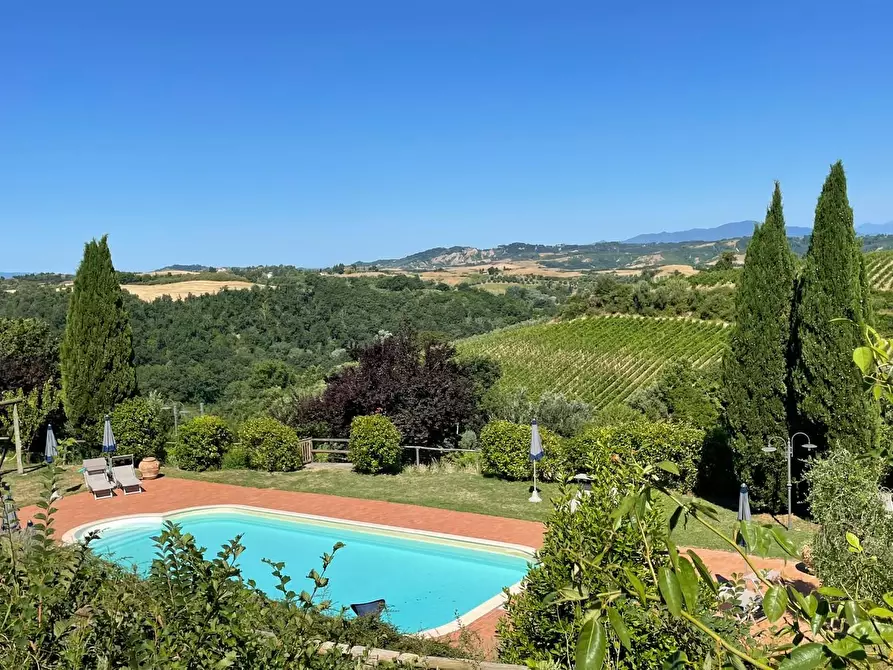 Immagine 4 di Agriturismo in vendita  a Montaione