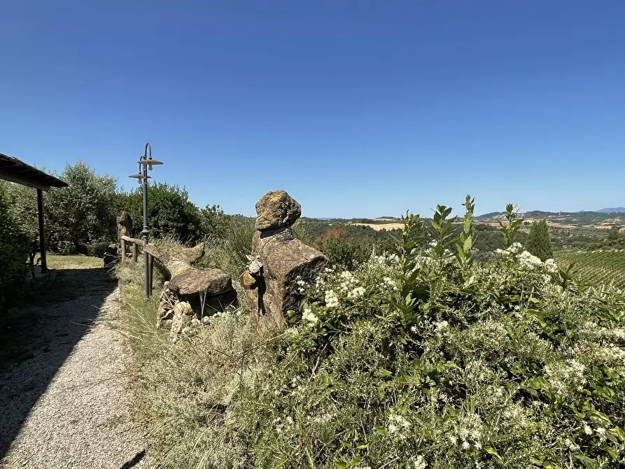 Immagine 53 di Agriturismo in vendita  a Montaione