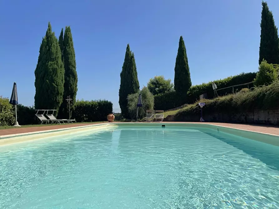 Immagine 5 di Agriturismo in vendita  a Montaione