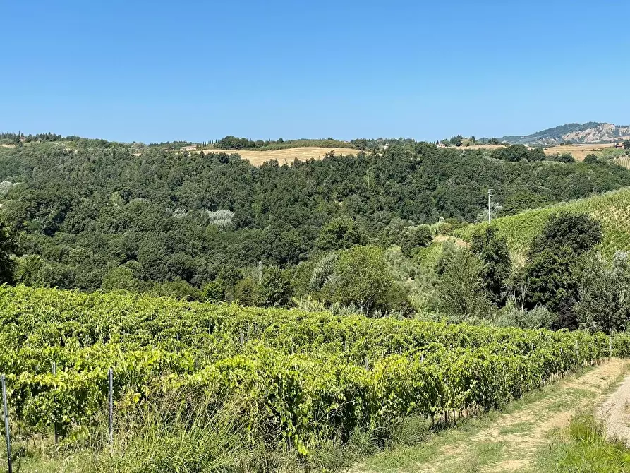 Immagine 78 di Agriturismo in vendita  a Montaione