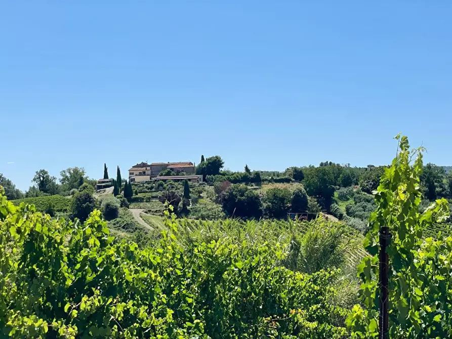 Immagine 81 di Agriturismo in vendita  a Montaione