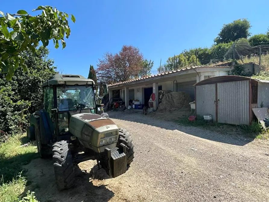 Immagine 74 di Agriturismo in vendita  a Montaione