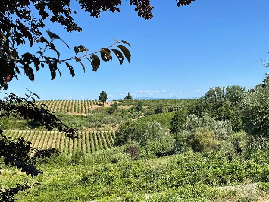 Immagine 80 di Agriturismo in vendita  a Montaione