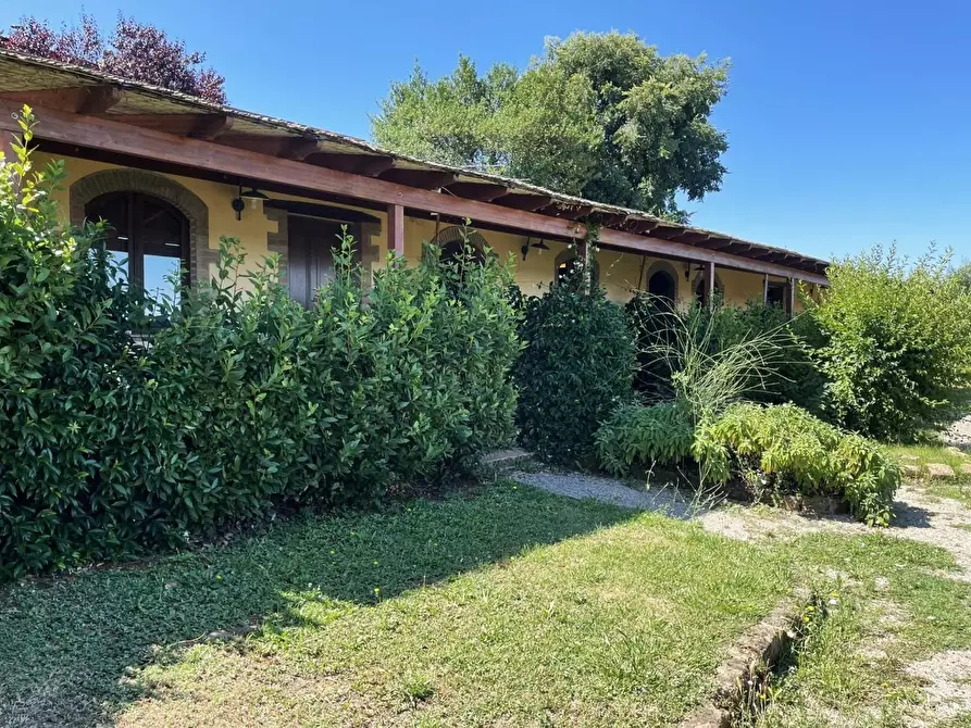 Immagine 26 di Agriturismo in vendita  a Montaione