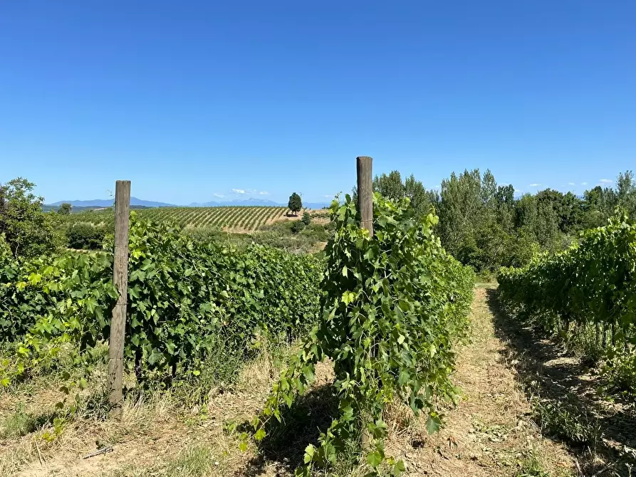 Immagine 77 di Agriturismo in vendita  a Montaione