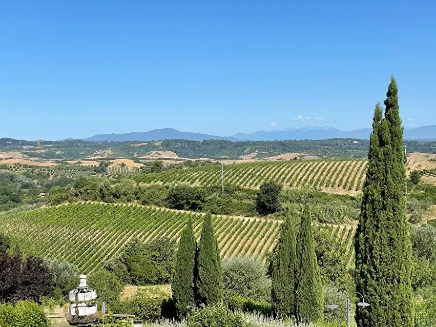 Immagine 17 di Agriturismo in vendita  a Montaione