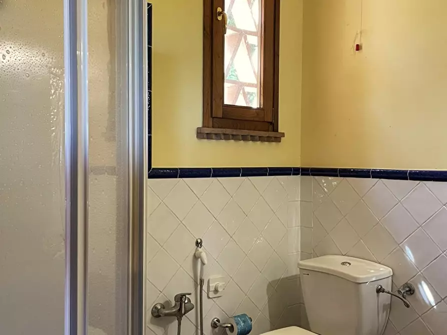 Immagine 66 di Agriturismo in vendita  a Montaione