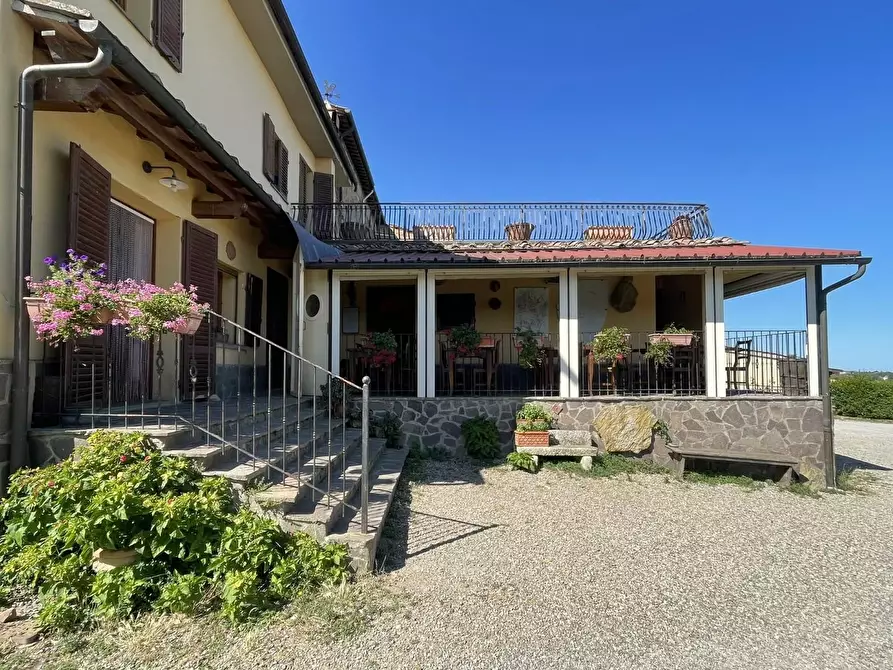 Immagine 7 di Agriturismo in vendita  a Montaione