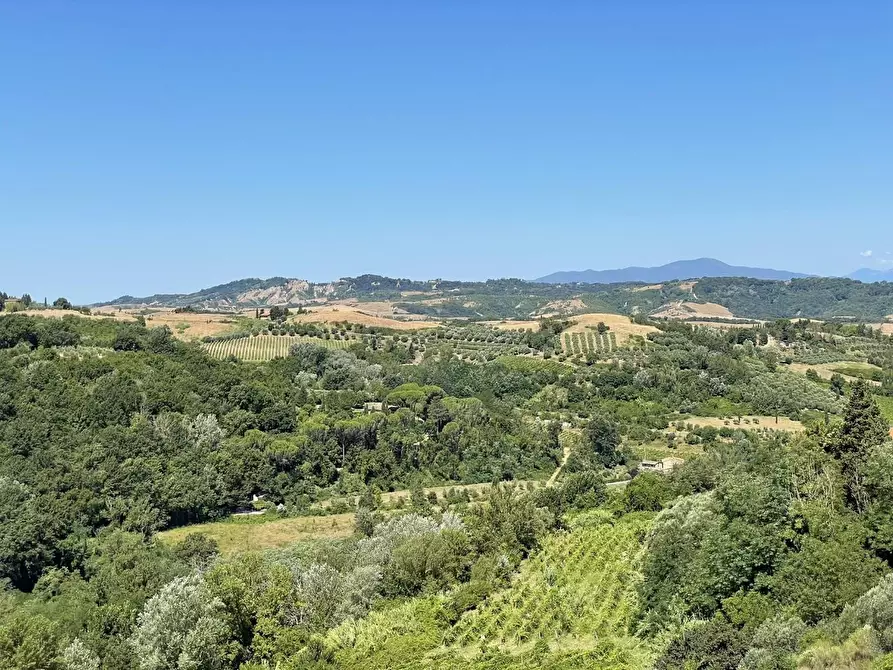 Immagine 84 di Agriturismo in vendita  a Montaione