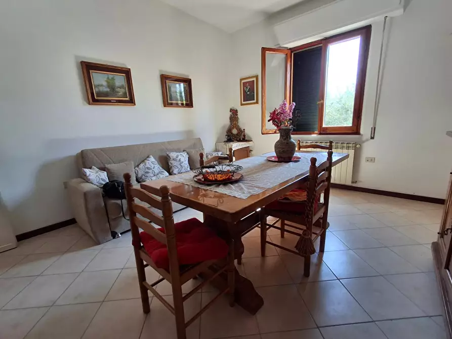 Immagine 10 di Appartamento in vendita  a Vinci