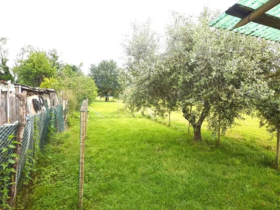 Immagine 38 di Terratetto in vendita  a Capannori