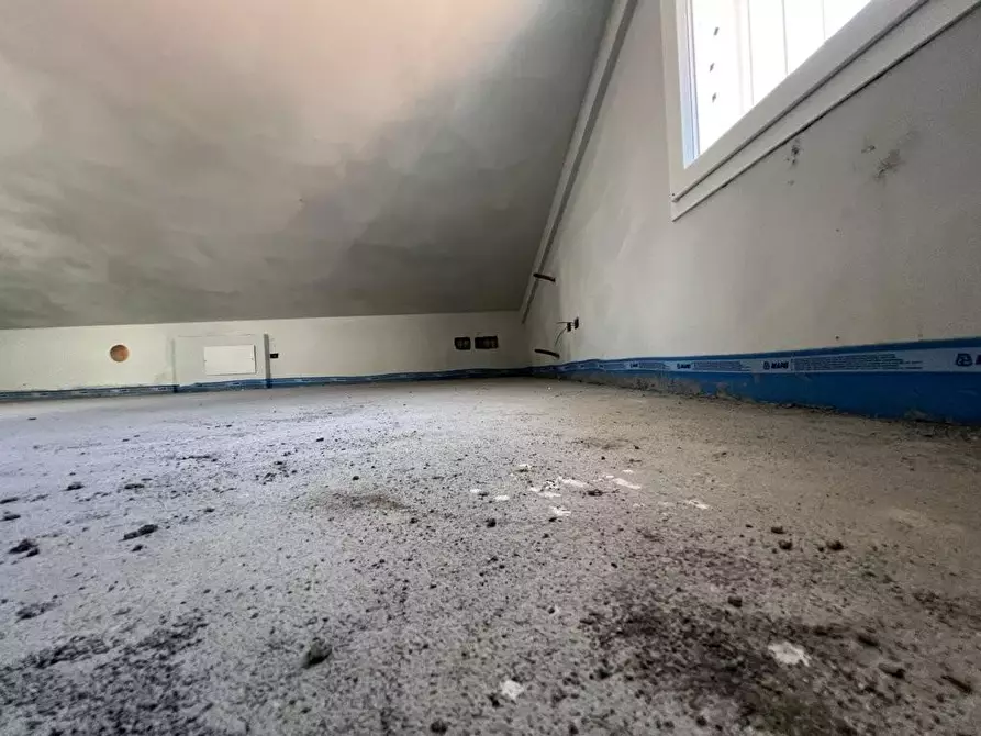 Immagine 15 di Appartamento in vendita  a Cecina