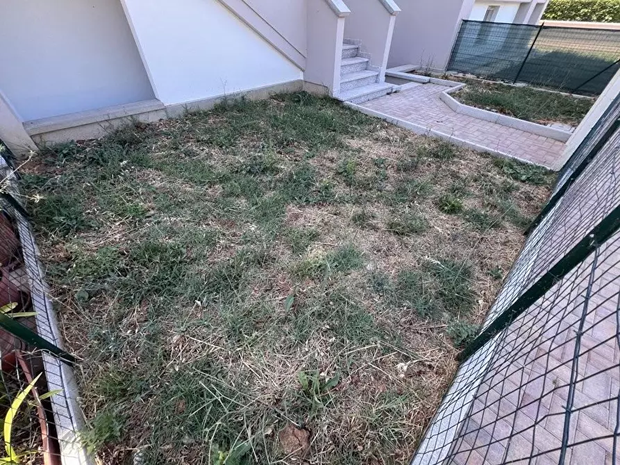 Immagine 3 di Appartamento in vendita  a Cecina