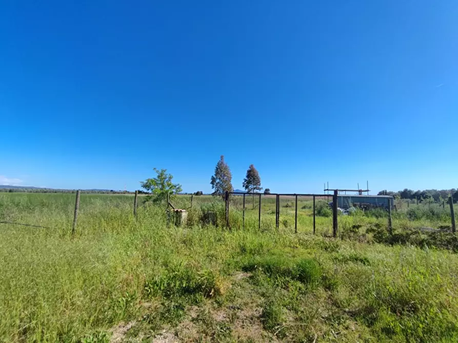 Immagine 1 di Terreno agricolo in vendita  a Grosseto