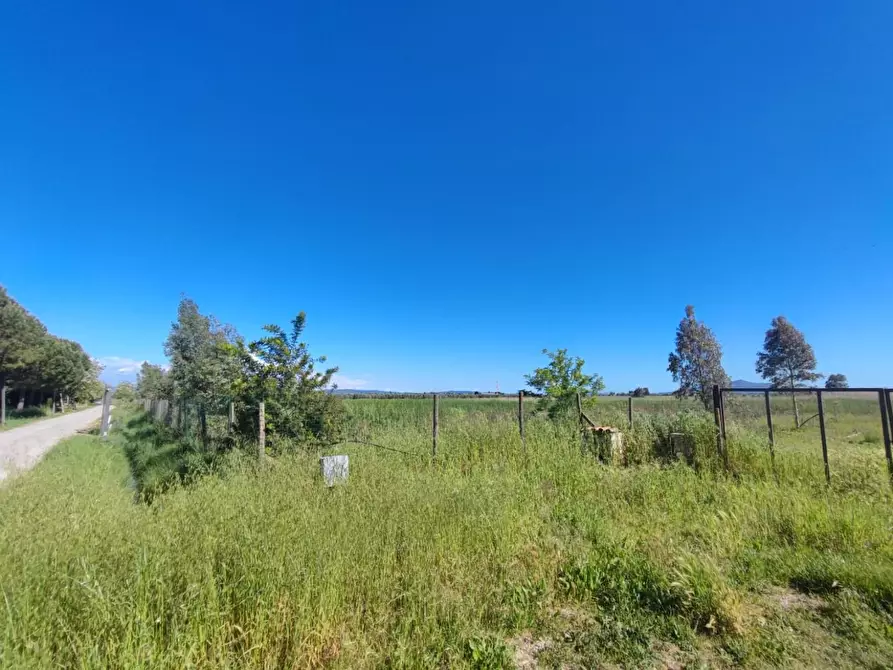 Immagine 2 di Terreno agricolo in vendita  a Grosseto