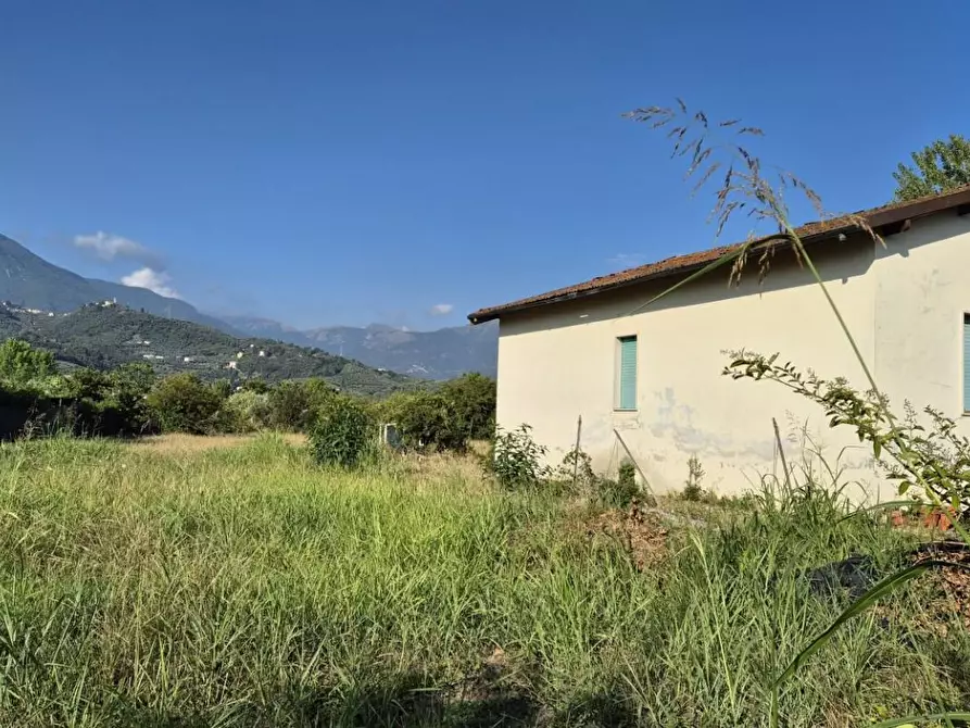 Immagine 15 di Casa bifamiliare in vendita  a Camaiore