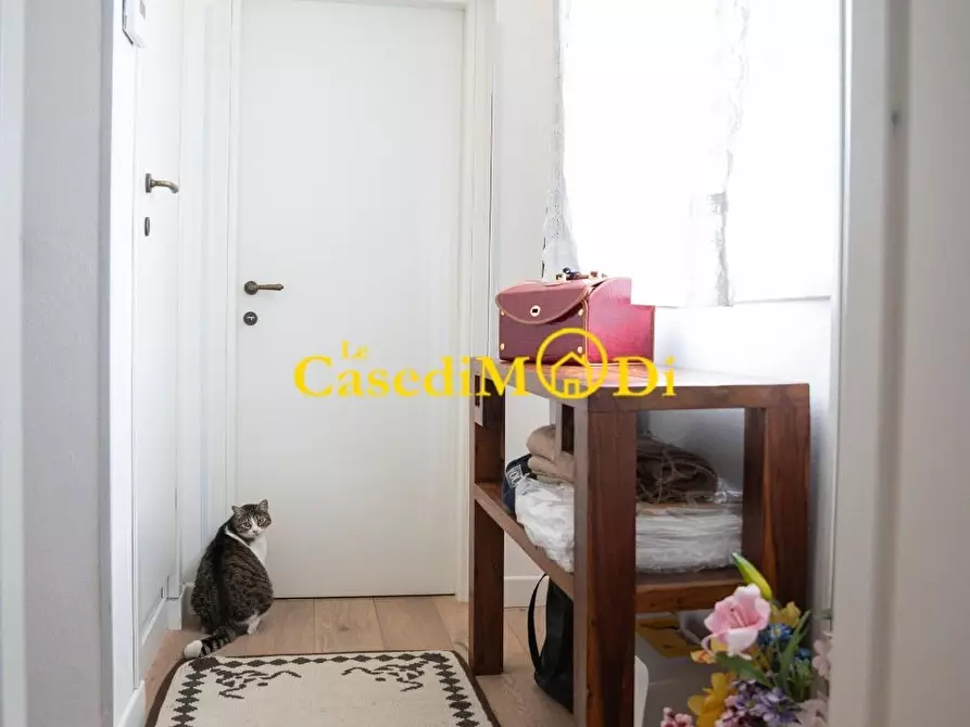 Immagine 25 di Casa bifamiliare in vendita  a Collesalvetti