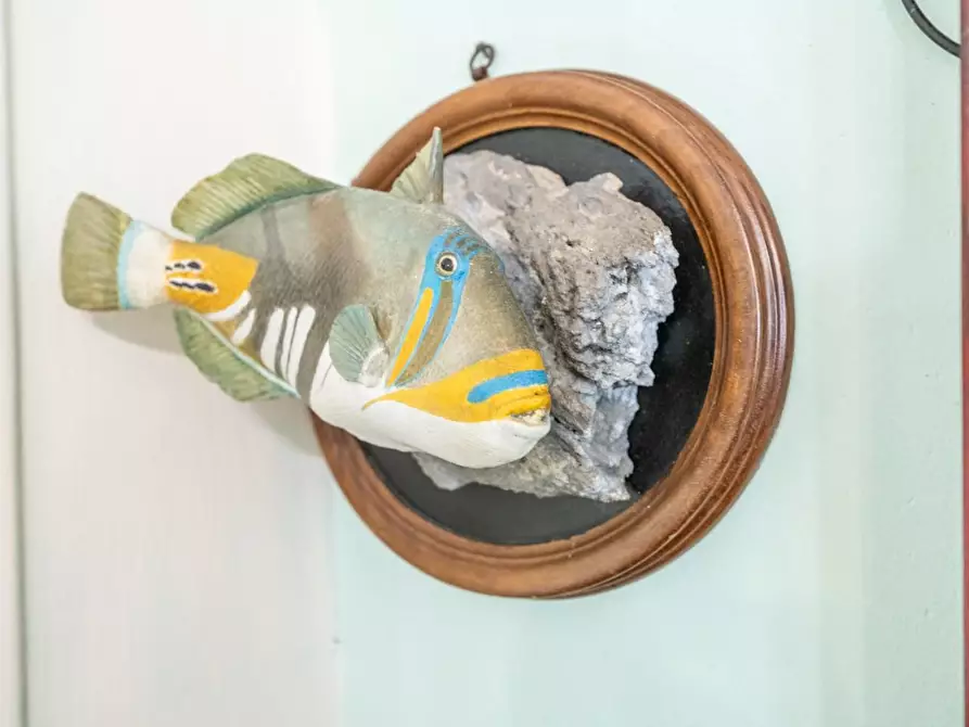 Immagine 92 di Bar / Ristorante in vendita  a Vecchiano