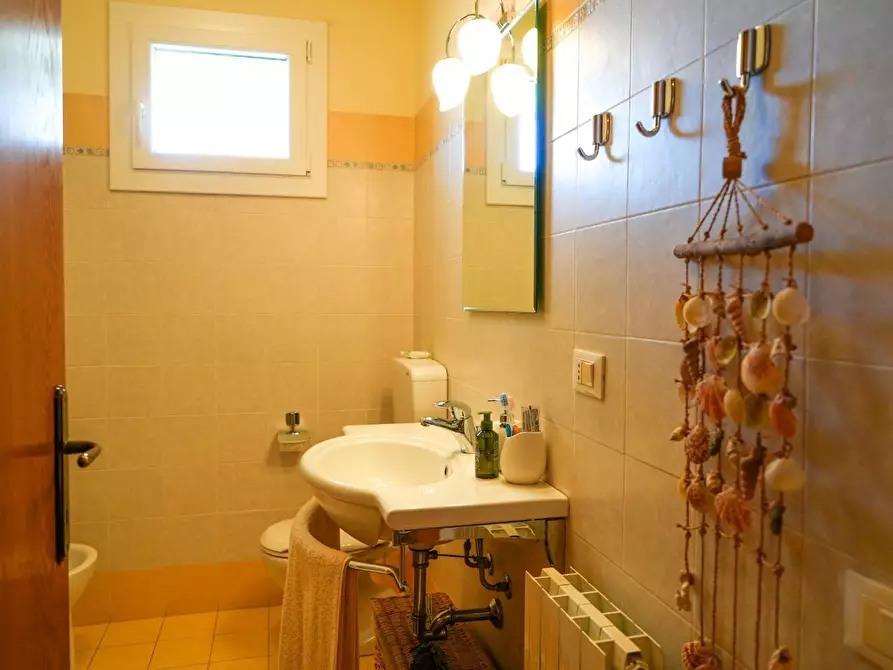 Immagine 19 di Appartamento in vendita  a Massa