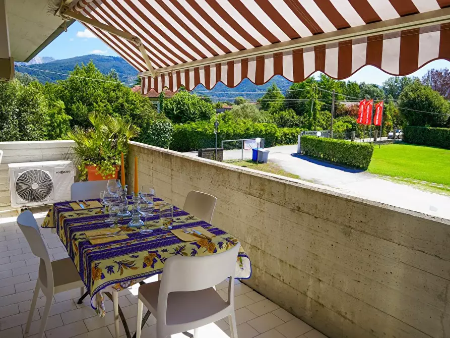 Immagine 24 di Appartamento in vendita  a Massa